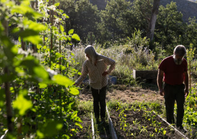 Azienda Agricola Crinale di Canossa