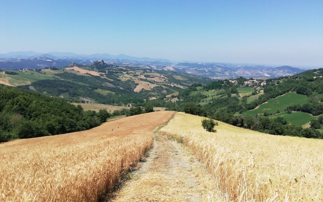 Il Borgo Matildico di Riverzana